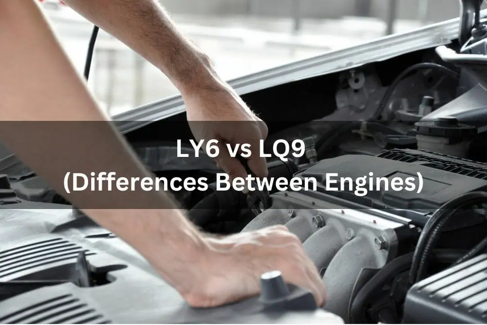 What Is The Difference: LY6 vs LQ9